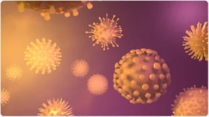 Virus Oropouche