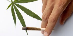sebatang-rokok-ganja-20-batang-rokok-tembakau-rev-1