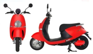 ECGO 5