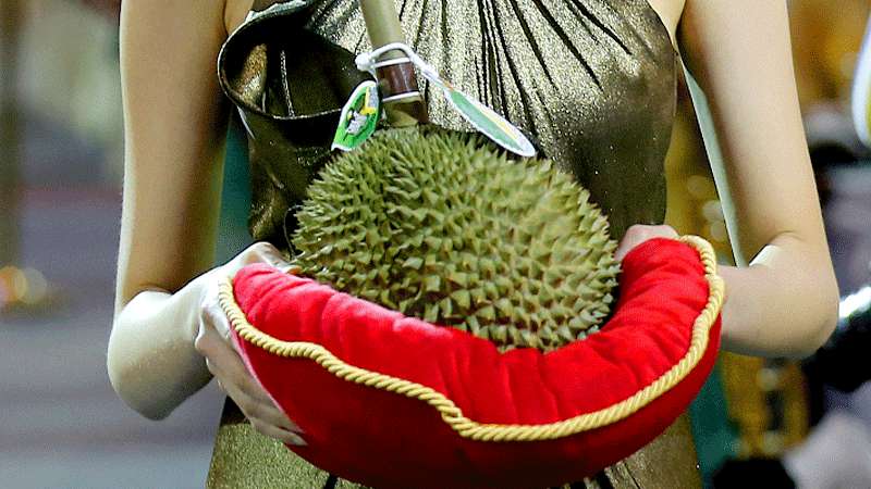 6 Fakta Durian Kanyao yang Mungkin Kamu Belum Tahu
