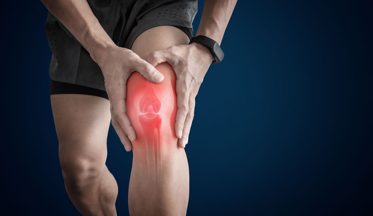 Mengenal Ligamen ACL: Fungsi, Cedera, dan Cara Pencegahannya (2024)
