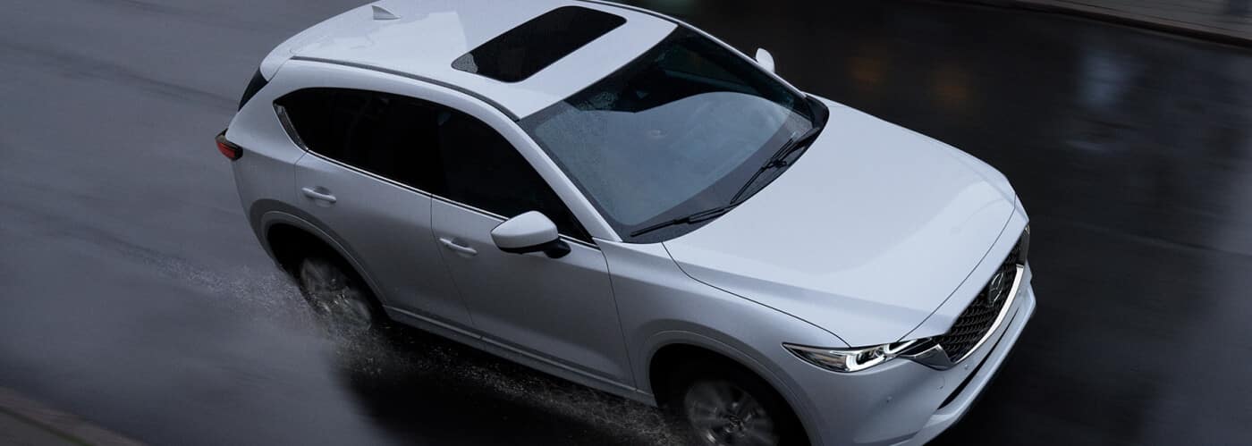 5 Merk Mobil Dengan Sunroof Yang Jadi Rekomendasi